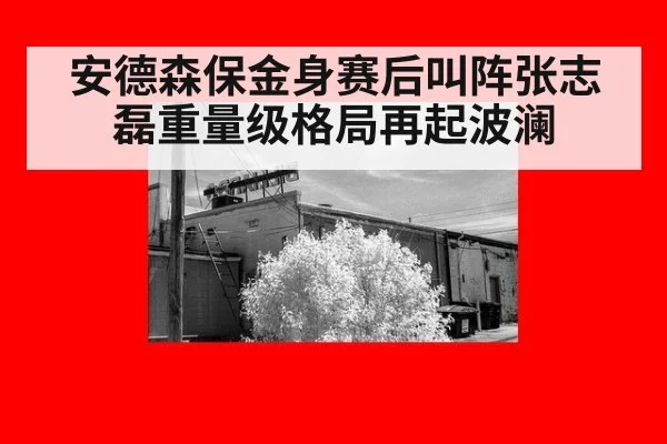 安德森保金身赛后叫阵张志磊重量级格局再起波澜