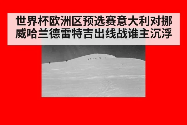 世界杯欧洲区预选赛意大利对挪威哈兰德雷特吉出线战谁主沉浮